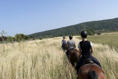 3679742C-CC8A-4D77-BC76-20138C58F289-scaled