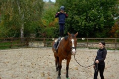 44928ac0-8eed-4a99-b175-29651bc56db5