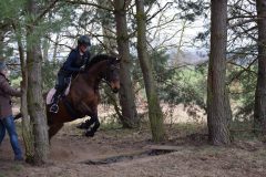 2e582e4a-e2c9-47c8-a564-48752efeea49-scaled