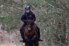 3f5f24be-a134-4be0-a56f-0081a58f3a98