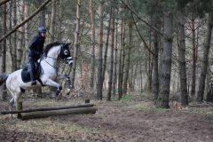 4b58b8a3-3383-4292-bce6-fa6cfdcfcade-scaled