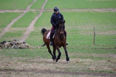 579a60c9-616f-40d9-9346-c6b6bd40bbe9