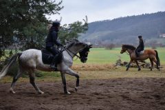 8c3993f3-0861-4f30-a011-260d1fb3d6de-scaled