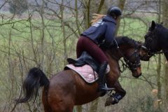 9b822737-82d5-4b8b-86cd-3be17d915761-scaled