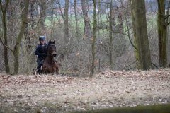 d1a5e2a5-6393-4caf-83de-409ee9b3a500-scaled