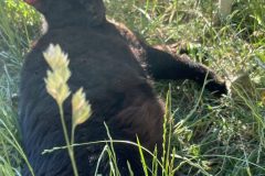 5BD56F59-710F-4631-A07A-B47D8FB0B295-scaled