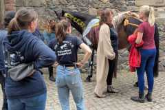 2d2abc48-b682-4ffe-8f48-dc464035f586