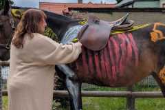 903e7450-98ec-4668-91a8-42c5f7968be7