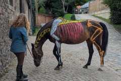 e0cfb374-691a-45aa-b597-312098bc13ca