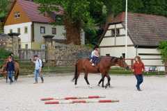 11A60C62-AAC7-4FEA-B235-E0590F97B9DA