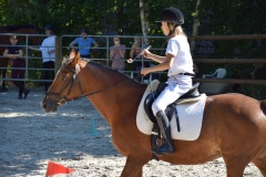 0B1848E6-1177-4B5D-B9F7-A772C1F240BB