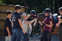 1D053A31-4230-4878-A554-4DEE9A75EFEA