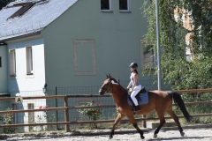 78AEA312-0FB9-4864-8763-B22D1E107C49