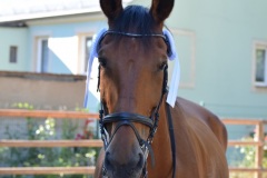 8CA898EA-AF12-415E-BB46-1C8A96559280