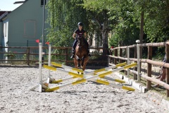 B673EB9A-7F01-43E9-85FF-717B902CD056