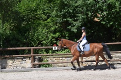 CF0BA329-43FC-41E7-867B-AE8A5433B08B