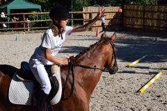 D0755879-3A26-45E3-AF2A-2227D46B6D8E