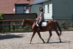 D8B84EDF-25E7-4D4E-BBD2-BF293348C772