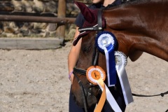 DA1989E6-75A8-4EBB-B66E-A562984F0865