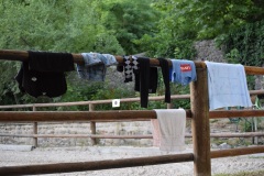 F8C27C2E-284C-4D71-89AA-46C8E2E6474C