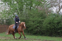 02aa7997-74b6-439d-b6c2-4497be7e9cec