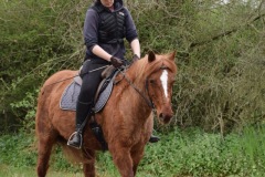 07a523ce-af4a-4aac-a2f4-0655f2edcffa