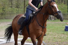 22b6a88b-295a-4fa3-b789-fc0c7aab3027