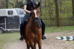 2f8b91a7-ba9f-4d29-a63d-3b65821beb34