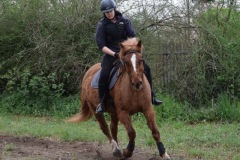 34b43278-0874-45fc-b3ce-07daaccf3f24