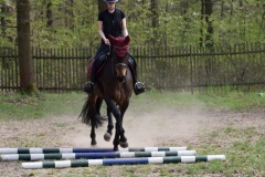 54fa5509-8eb0-4938-bd30-dc7ceef7abb6