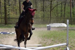 b481f483-8076-484c-bd9e-ad031014c4d4