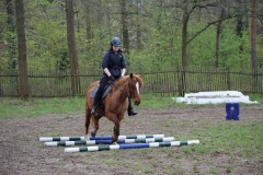 c9d0c1d0-ad67-4dbd-9eb5-66db7f1e4a13