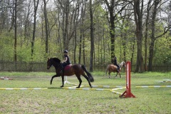 f8e1cab5-1c8c-4cee-a38b-1377f82d958a