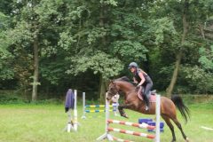 4faf67d9-01c7-46f2-a64c-2f187bdce5d1-scaled