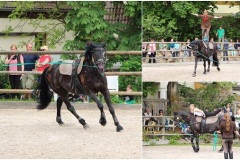 TdoT_2014_Voltigieren