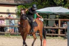 0c84e820-4c03-417b-a69e-d9c4d9fb50f2