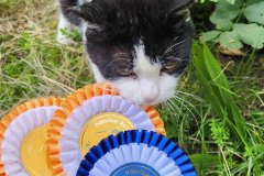 5ac17cb8-c22b-458d-acc4-d5b4ff3de2c0