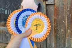 8d2b509e-ffef-431f-a198-c769df6cd6b9