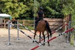 a9cfede9-11d7-4d39-baba-bf15ff243cc0