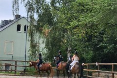 bc452f55-b263-4992-9629-f53aedd5ae67