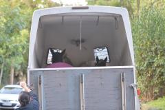 aa7bb7ed-23f0-4ac0-a23c-c1c1328c3ca5