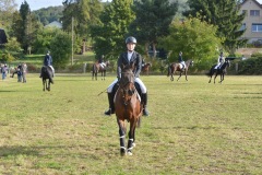 c88ca7b6-605d-4003-ba60-6ddebb25ac16