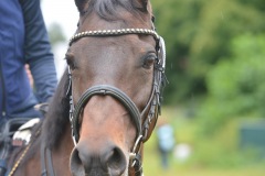 37850dee-4c44-47e3-a85c-9f0c0738e9a1