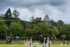 68507763-fc35-47c3-b019-4189bae46ac8