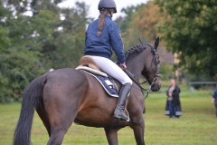 b73b4646-2b73-4a76-a012-bfd0083d6650